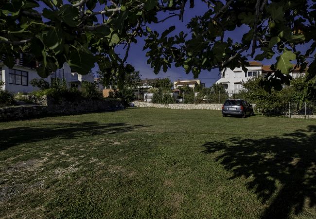 Apartment in Lopar - Apartment in Lopar with Terrace, Air condition, WIFI (4612-3) Apartment in Lopar - Apartment in Lopar with Terrace, Air condition, WIFI (4612-3)