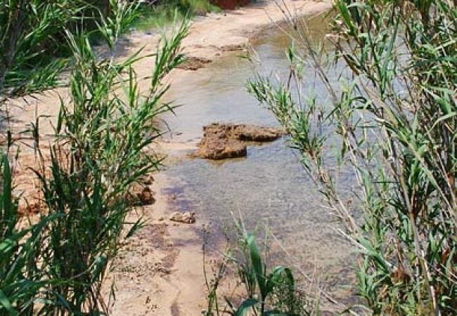 Apartment in Nevidane - Apartment in Neviđane with Seaview, Balcony, Air condition, WIFI (4663-3) Apartment in Nevidane - Apartment in Neviđane with Seaview, Balcony, Air condition, WIFI (4663-3)