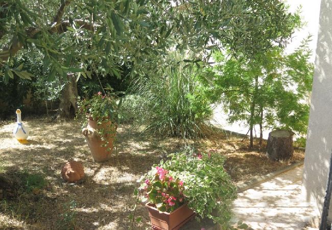 Studio in Porec - Studio apartment in Poreč with Balcony, Air condition, WIFI (4676-2) Studio in Porec - Studio apartment in Poreč with Balcony, Air condition, WIFI (4676-2)