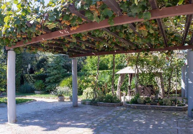 Apartment in Rovinj - Apartment in Rovinj with Terrace, Air condition, WIFI, Washing machine (4686-1) Apartment in Rovinj - Apartment in Rovinj with Terrace, Air condition, WIFI, Washing machine (4686-1)