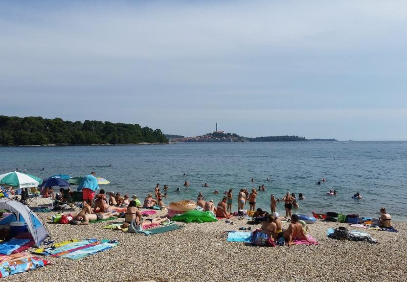 Studio in Rovinj - Studio apartment in Rovinj with Terrace, Air condition, WIFI, Washing machine (4686-4)