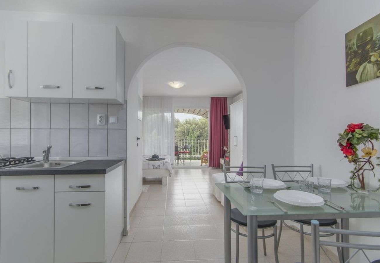 Studio in Rovinj - Studio apartment in Rovinj with Terrace, Air condition, WIFI, Washing machine (4686-5)