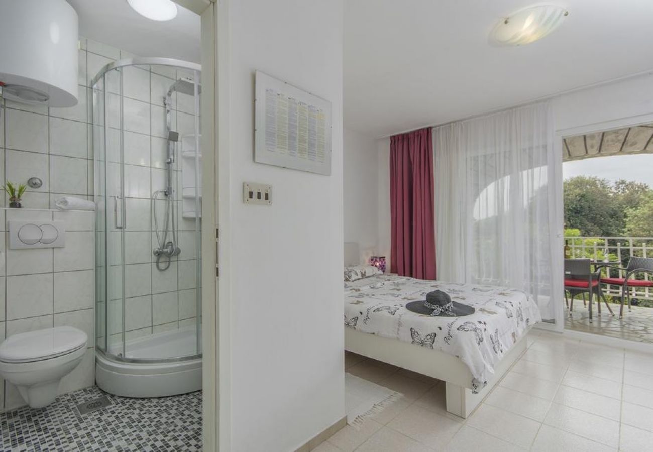 Studio in Rovinj - Studio apartment in Rovinj with Terrace, Air condition, WIFI, Washing machine (4686-5)