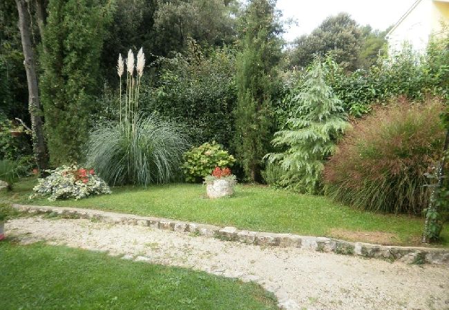 Studio in Rovinj - Studio apartment in Rovinj with Seaview, Terrace, Air condition, WIFI (4686-6) Studio in Rovinj - Studio apartment in Rovinj with Seaview, Terrace, Air condition, WIFI (4686-6)