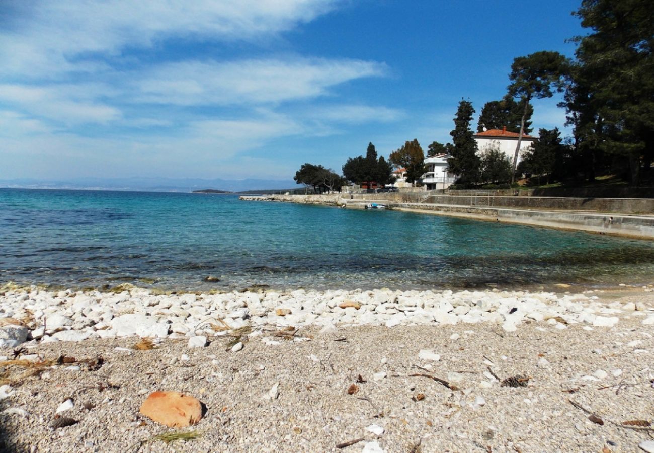 Apartment in Malinska - Apartment in Malinska with Seaview, Terrace, Air condition, WIFI (4690-3)