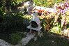 Apartment in Korcula - Apartment in Korčula with Seaview, Terrace, Air condition, WIFI (4695-1) Apartment in Korcula - Apartment in Korčula with Seaview, Terrace, Air condition, WIFI (4695-1)