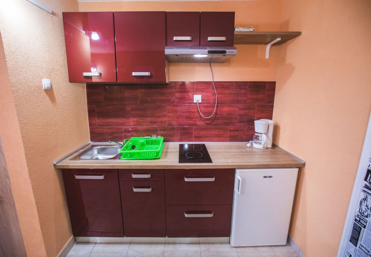 Studio in Lopar - Studio apartment in Lopar with Terrace, Air condition, WIFI (4739-1)