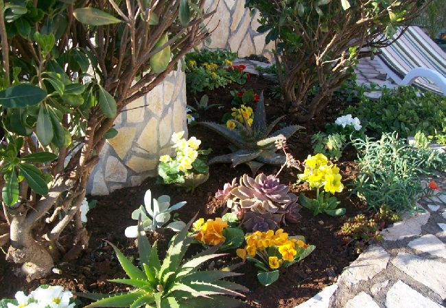 Apartment in Vinišce - Apartment in Vinišće with Balcony, Air condition, WIFI, Washing machine (4753-1) Apartment in Vinišce - Apartment in Vinišće with Balcony, Air condition, WIFI, Washing machine (4753-1)