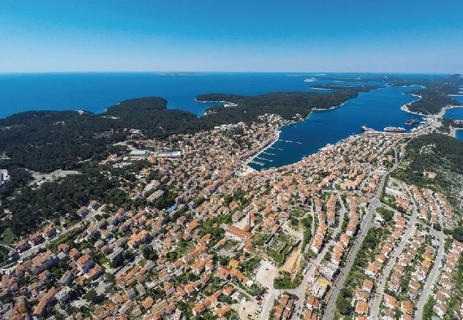House in Mali Lošinj - Holiday Home in Mali Lošinj with Terrace, Air condition, WIFI, Washing machine (4780-1) House in Mali Lošinj - Holiday Home in Mali Lošinj with Terrace, Air condition, WIFI, Washing machine (4780-1)