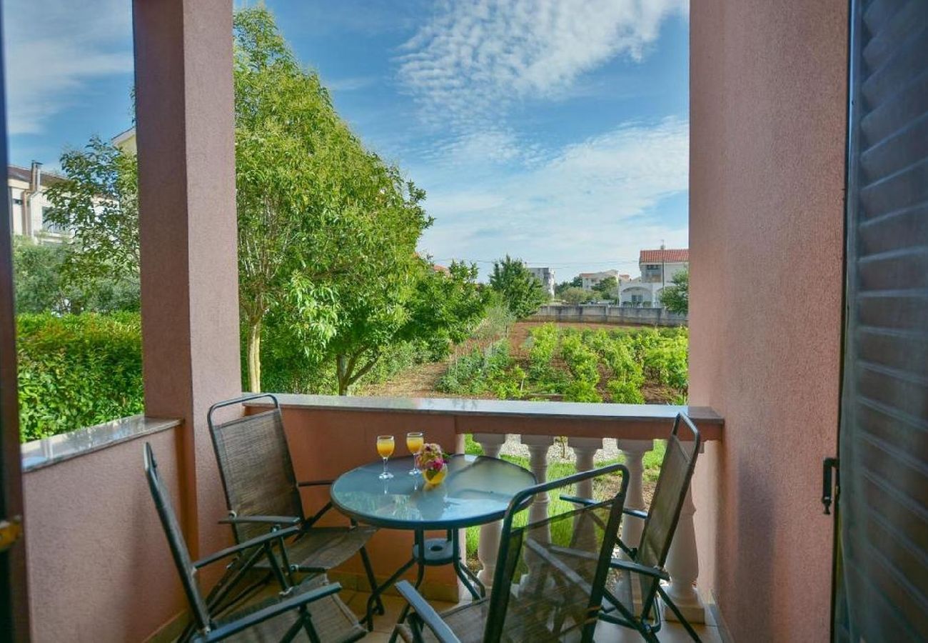 Apartment in Nin - Apartment in Zaton (Zadar) with Balcony, Air condition, WIFI (4810-2)