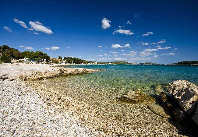 Studio in Biograd na moru - Studio apartment in Biograd na Moru with Seaview, Terrace, Air condition, WIFI (4805-5) Studio in Biograd na moru - Studio apartment in Biograd na Moru with Seaview, Terrace, Air condition, WIFI (4805-5)