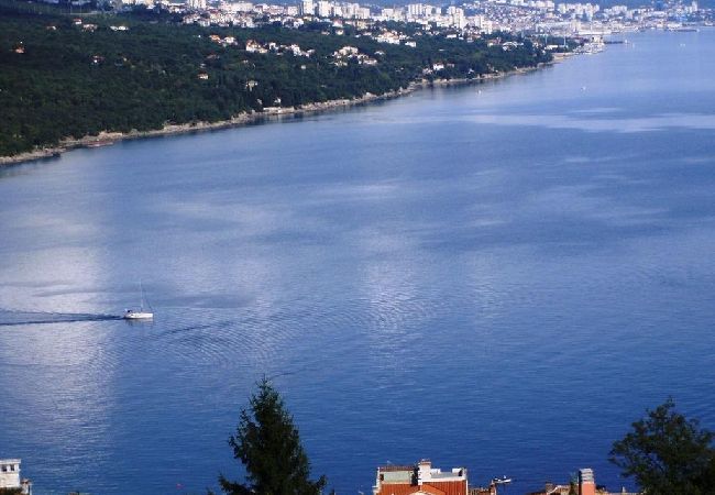 Apartment in Opatija - Apartment in Opatija with Seaview, Balcony, Air condition, WIFI (4812-2) Apartment in Opatija - Apartment in Opatija with Seaview, Balcony, Air condition, WIFI (4812-2)