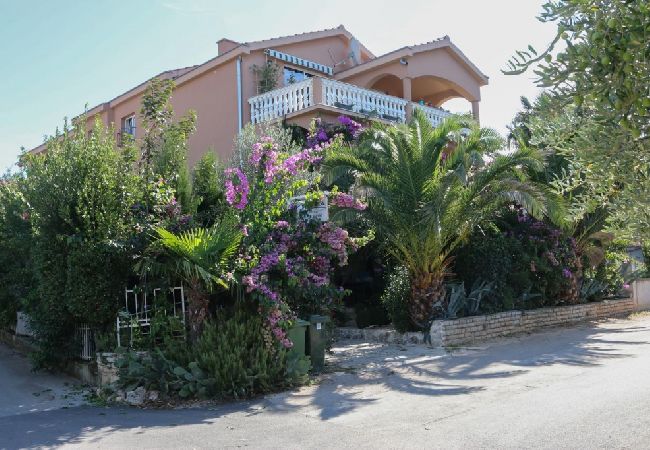Studio in Biograd na moru - Studio apartment in Biograd na Moru with Balcony, Air condition, WIFI (4818-3) Studio in Biograd na moru - Studio apartment in Biograd na Moru with Balcony, Air condition, WIFI (4818-3)