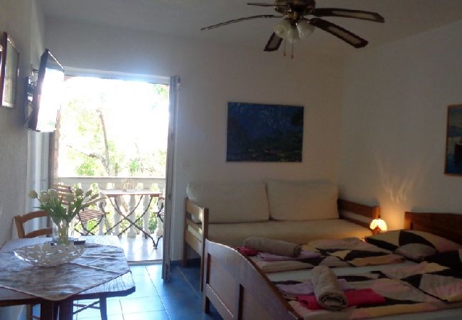 Studio in Biograd na moru - Studio apartment in Biograd na Moru with Balcony, Air condition, WIFI (4818-3) Studio in Biograd na moru - Studio apartment in Biograd na Moru with Balcony, Air condition, WIFI (4818-3)