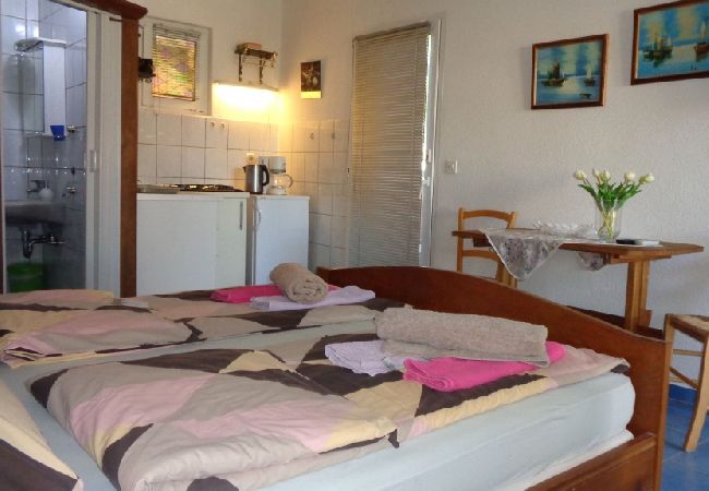 Studio in Biograd na moru - Studio apartment in Biograd na Moru with Balcony, Air condition, WIFI (4818-3) Studio in Biograd na moru - Studio apartment in Biograd na Moru with Balcony, Air condition, WIFI (4818-3)
