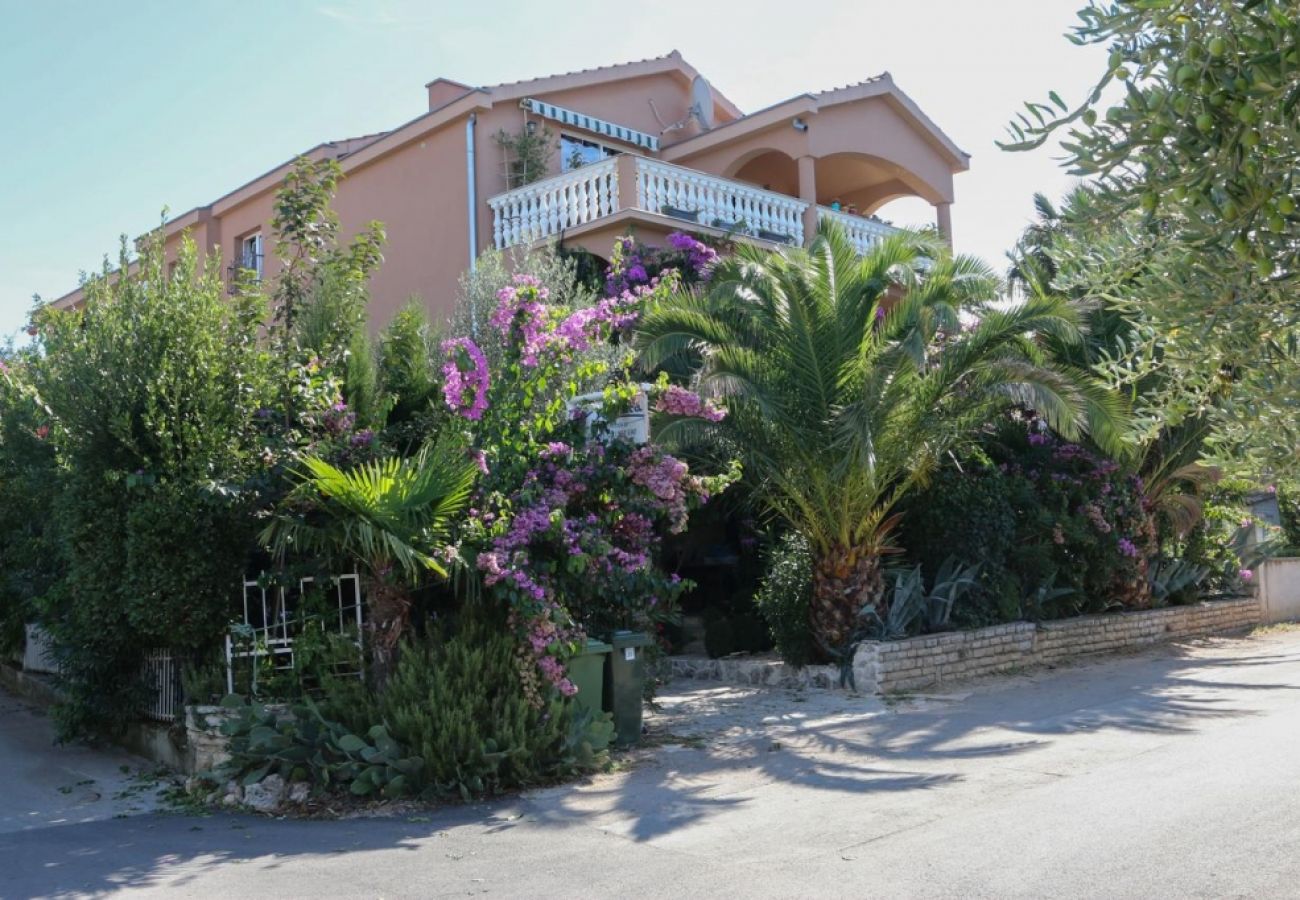 Studio in Biograd na moru - Studio apartment in Biograd na Moru with Balcony, Air condition, WIFI (4818-3)