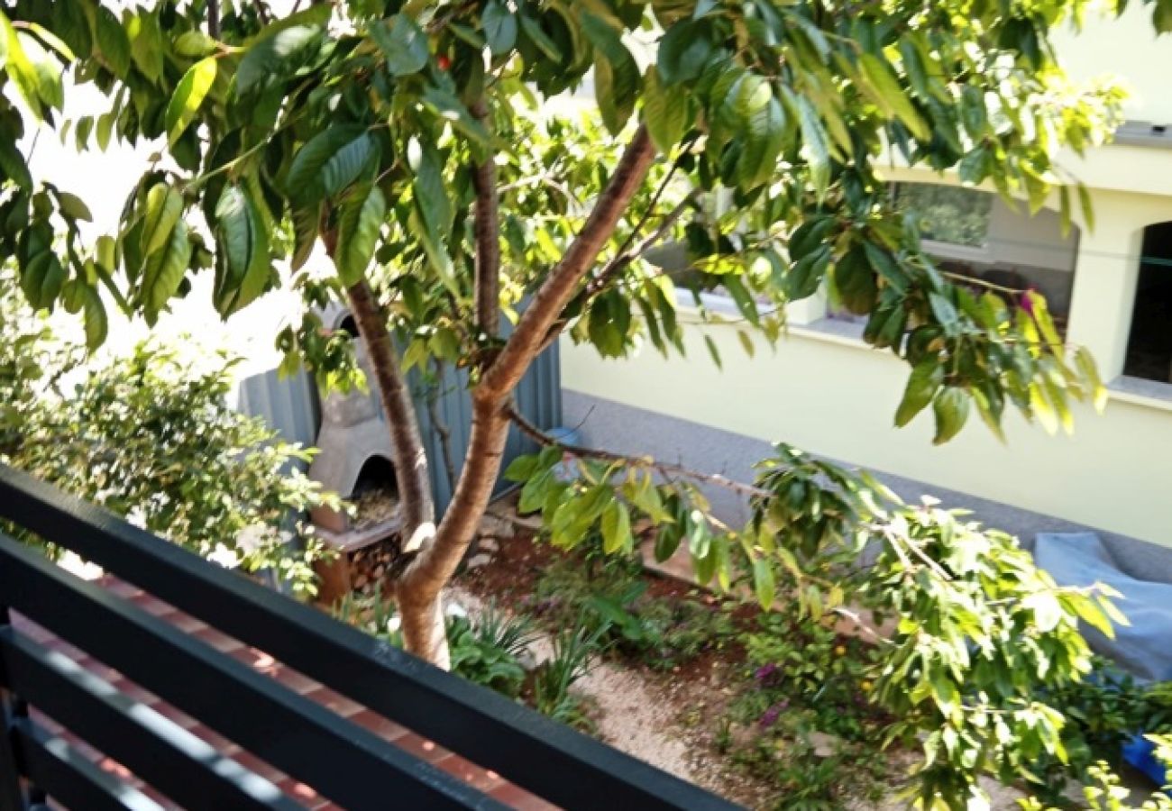 Apartment in Ždrelac - Apartment in Ždrelac with Balcony, Air condition, WIFI, Dishwasher (4834-3)