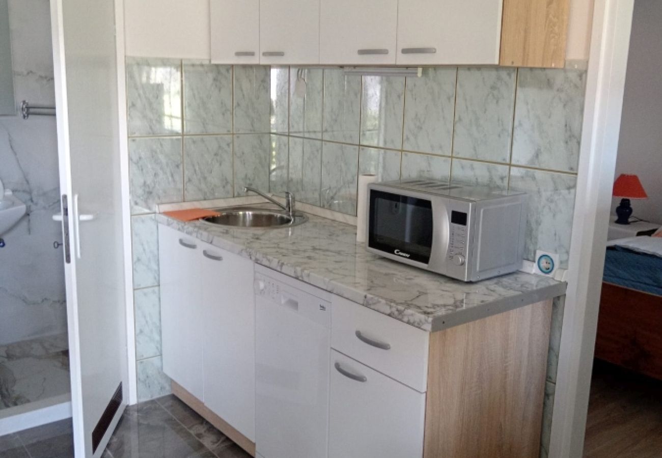 Apartment in Ždrelac - Apartment in Ždrelac with Balcony, Air condition, WIFI, Dishwasher (4834-3)