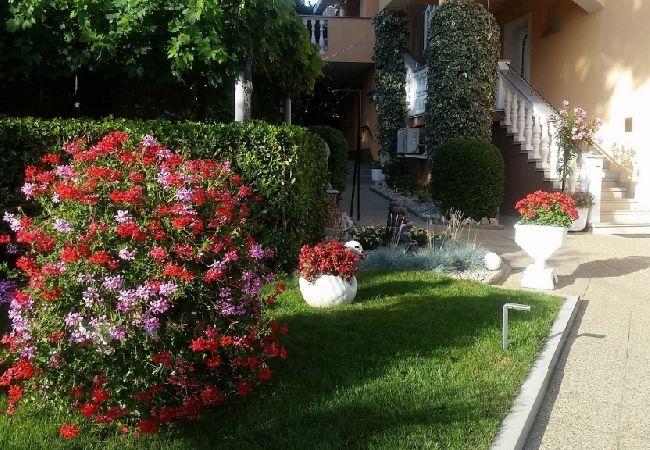 Apartment in Baška - Apartment in Baška with Terrace, Air condition, WIFI (4863-1) Apartment in Baška - Apartment in Baška with Terrace, Air condition, WIFI (4863-1)