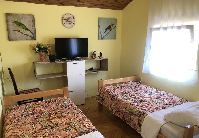 Apartment in Ždrelac - Apartment in Ždrelac with Balcony, Air condition, WIFI, Washing machine (4834-2) Apartment in Ždrelac - Apartment in Ždrelac with Balcony, Air condition, WIFI, Washing machine (4834-2)