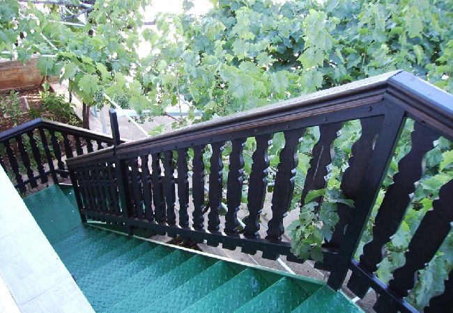 Apartment in Ždrelac - Apartment in Ždrelac with Balcony, Air condition, WIFI, Washing machine (4834-2) Apartment in Ždrelac - Apartment in Ždrelac with Balcony, Air condition, WIFI, Washing machine (4834-2)
