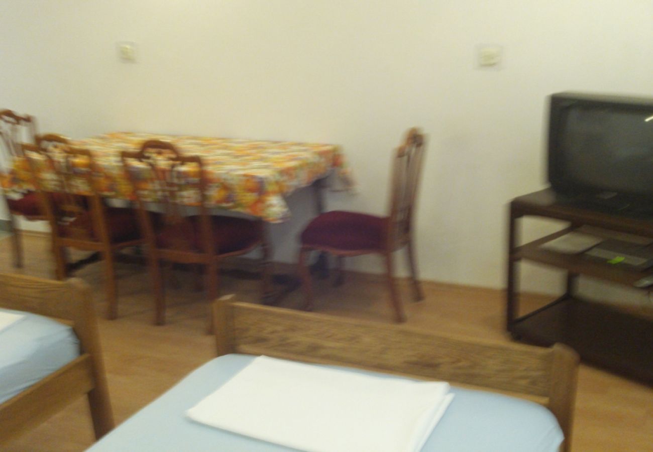 Apartment in Kustici - Apartment in Kustici with Balcony, WIFI, Washing machine (4847-1)