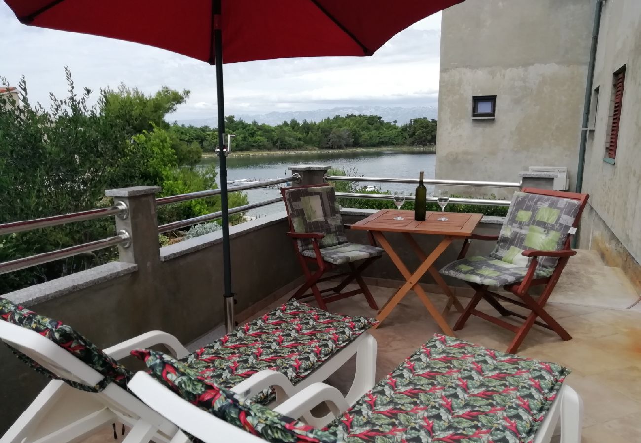 Studio in Nin - Studio apartment in Nin with Seaview, Terrace, Air condition, WIFI (4868-1)