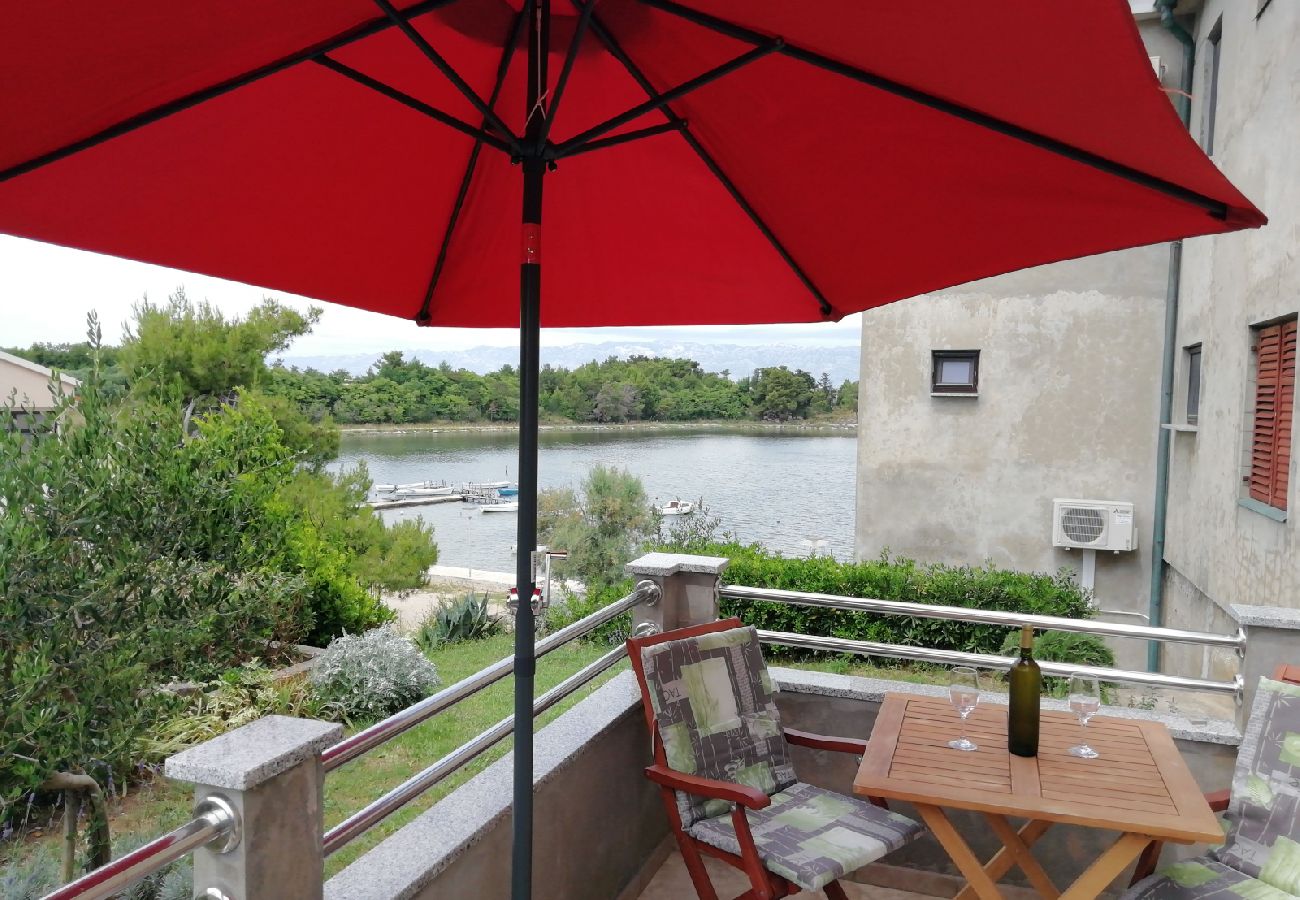 Studio in Nin - Studio apartment in Nin with Seaview, Terrace, Air condition, WIFI (4868-1)