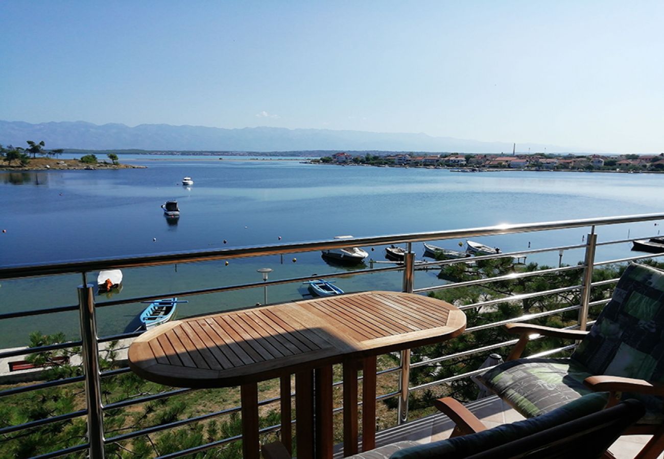 Apartment in Nin - Apartment in Nin with Seaview, Terrace, Air condition, WIFI (4868-3)