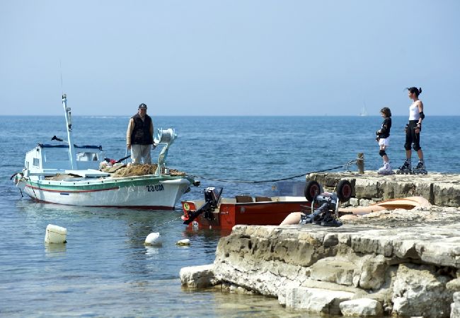 House in Svetvincenat - Holiday Home in Svetvinčenat with Terrace, Air condition, WIFI, Washing machine (4843-1) House in Svetvincenat - Holiday Home in Svetvinčenat with Terrace, Air condition, WIFI, Washing machine (4843-1)