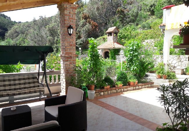 Apartment in Supetarska Draga - Apartment in Supetarska Draga with Seaview, Balcony, Air condition, WIFI (4861-1) Apartment in Supetarska Draga - Apartment in Supetarska Draga with Seaview, Balcony, Air condition, WIFI (4861-1)