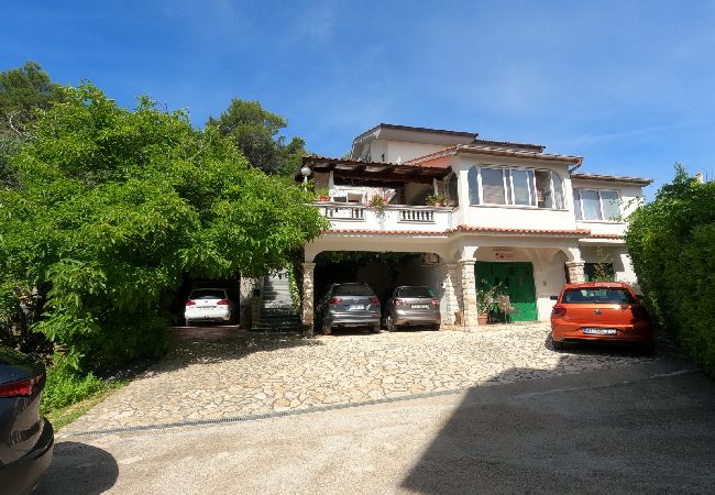 Apartment in Supetarska Draga - Apartment in Supetarska Draga with Seaview, Balcony, Air condition, WIFI (4861-1) Apartment in Supetarska Draga - Apartment in Supetarska Draga with Seaview, Balcony, Air condition, WIFI (4861-1)