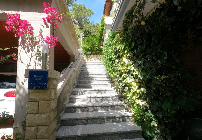 Apartment in Supetarska Draga - Apartment in Supetarska Draga with Seaview, Balcony, Air condition, WIFI (4861-1) Apartment in Supetarska Draga - Apartment in Supetarska Draga with Seaview, Balcony, Air condition, WIFI (4861-1)