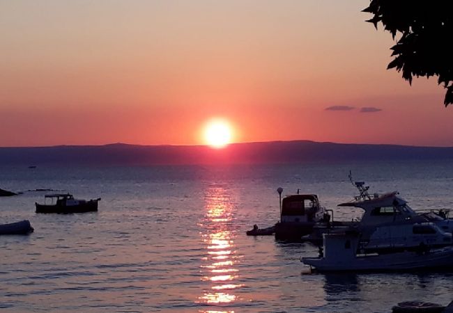 Apartment in Supetarska Draga - Apartment in Supetarska Draga with Seaview, Balcony, Air condition, WIFI (4861-1) Apartment in Supetarska Draga - Apartment in Supetarska Draga with Seaview, Balcony, Air condition, WIFI (4861-1)