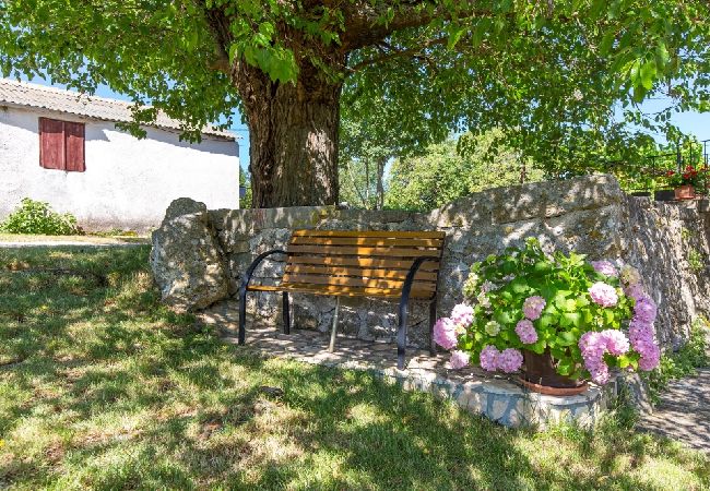House in Labin - Holiday Home in Labin with Terrace, Air condition, WIFI, Washing machine (4866-1) House in Labin - Holiday Home in Labin with Terrace, Air condition, WIFI, Washing machine (4866-1)