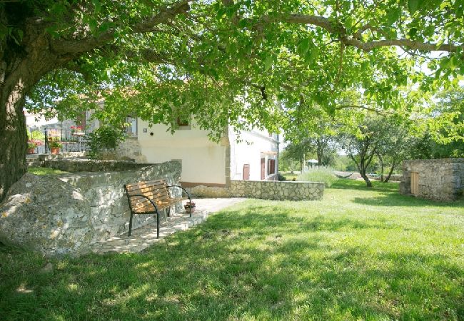 House in Labin - Holiday Home in Labin with Terrace, Air condition, WIFI, Washing machine (4866-1) House in Labin - Holiday Home in Labin with Terrace, Air condition, WIFI, Washing machine (4866-1)