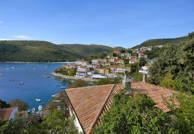 House in Labin - Holiday Home in Labin with Terrace, Air condition, WIFI, Washing machine (4866-1) House in Labin - Holiday Home in Labin with Terrace, Air condition, WIFI, Washing machine (4866-1)
