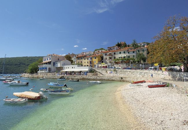 House in Labin - Holiday Home in Labin with Terrace, Air condition, WIFI, Washing machine (4866-1) House in Labin - Holiday Home in Labin with Terrace, Air condition, WIFI, Washing machine (4866-1)