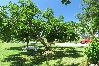 House in Ljubac - Holiday Home in Ljubač with Seaview, Terrace, Air condition, WIFI (4851-1) House in Ljubac - Holiday Home in Ljubač with Seaview, Terrace, Air condition, WIFI (4851-1)