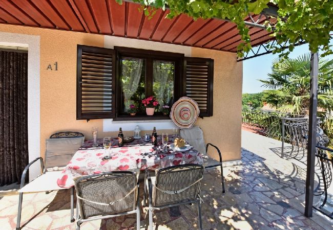 Apartment in Funtana - Apartment in Funtana with Seaview, Terrace, Air condition, WIFI (4879-1) Apartment in Funtana - Apartment in Funtana with Seaview, Terrace, Air condition, WIFI (4879-1)