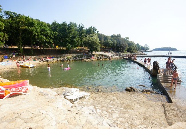 Apartment in Funtana - Apartment in Funtana with Seaview, Terrace, Air condition, WIFI (4879-1) Apartment in Funtana - Apartment in Funtana with Seaview, Terrace, Air condition, WIFI (4879-1)