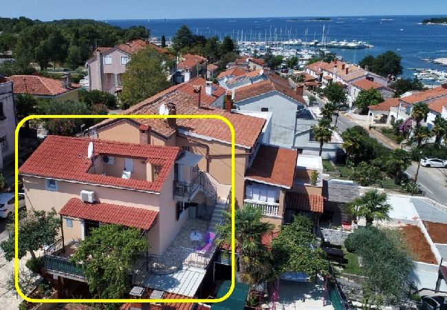 Apartment in Funtana - Apartment in Funtana with Seaview, Terrace, Air condition, WIFI (4879-1) Apartment in Funtana - Apartment in Funtana with Seaview, Terrace, Air condition, WIFI (4879-1)