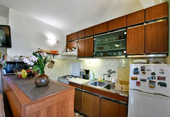 Apartment in Funtana - Apartment in Funtana with Seaview, Terrace, Air condition, WIFI (4879-1) Apartment in Funtana - Apartment in Funtana with Seaview, Terrace, Air condition, WIFI (4879-1)