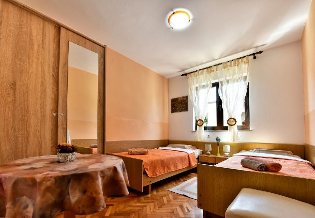 Apartment in Funtana - Apartment in Funtana with Seaview, Terrace, Air condition, WIFI (4879-1) Apartment in Funtana - Apartment in Funtana with Seaview, Terrace, Air condition, WIFI (4879-1)