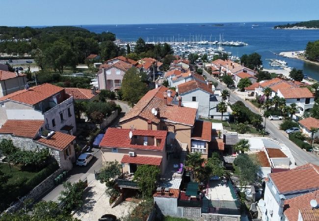 Apartment in Funtana - Apartment in Funtana with Seaview, Terrace, Air condition, WIFI (4879-1) Apartment in Funtana - Apartment in Funtana with Seaview, Terrace, Air condition, WIFI (4879-1)