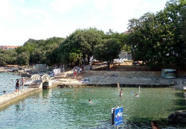 Apartment in Funtana - Apartment in Funtana with Seaview, Terrace, Air condition, WIFI (4879-1) Apartment in Funtana - Apartment in Funtana with Seaview, Terrace, Air condition, WIFI (4879-1)