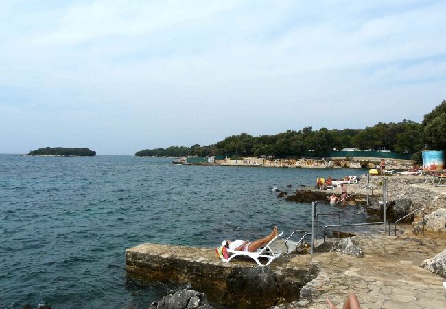 Apartment in Funtana - Apartment in Funtana with Seaview, Terrace, Air condition, WIFI (4879-1) Apartment in Funtana - Apartment in Funtana with Seaview, Terrace, Air condition, WIFI (4879-1)