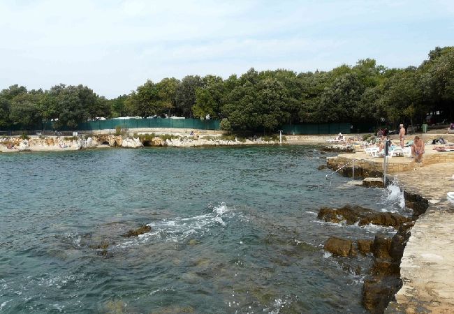 Apartment in Funtana - Apartment in Funtana with Seaview, Terrace, Air condition, WIFI (4879-1) Apartment in Funtana - Apartment in Funtana with Seaview, Terrace, Air condition, WIFI (4879-1)