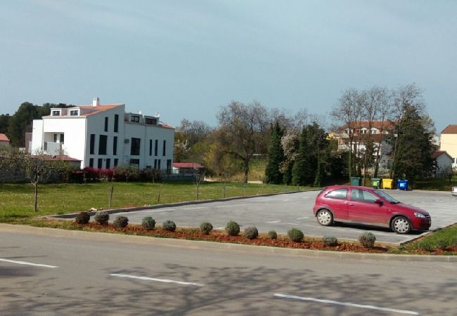 Apartment in Funtana - Apartment in Funtana with Seaview, Terrace, Air condition, WIFI (4879-1) Apartment in Funtana - Apartment in Funtana with Seaview, Terrace, Air condition, WIFI (4879-1)