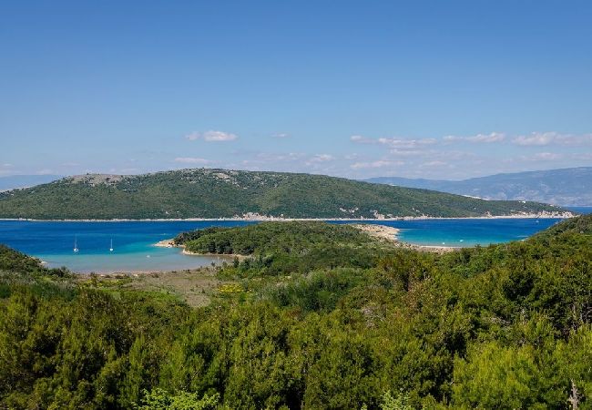 Apartment in Lopar - Apartment in Lopar with Balcony, Air condition, WIFI, Washing machine (4886-2) Apartment in Lopar - Apartment in Lopar with Balcony, Air condition, WIFI, Washing machine (4886-2)